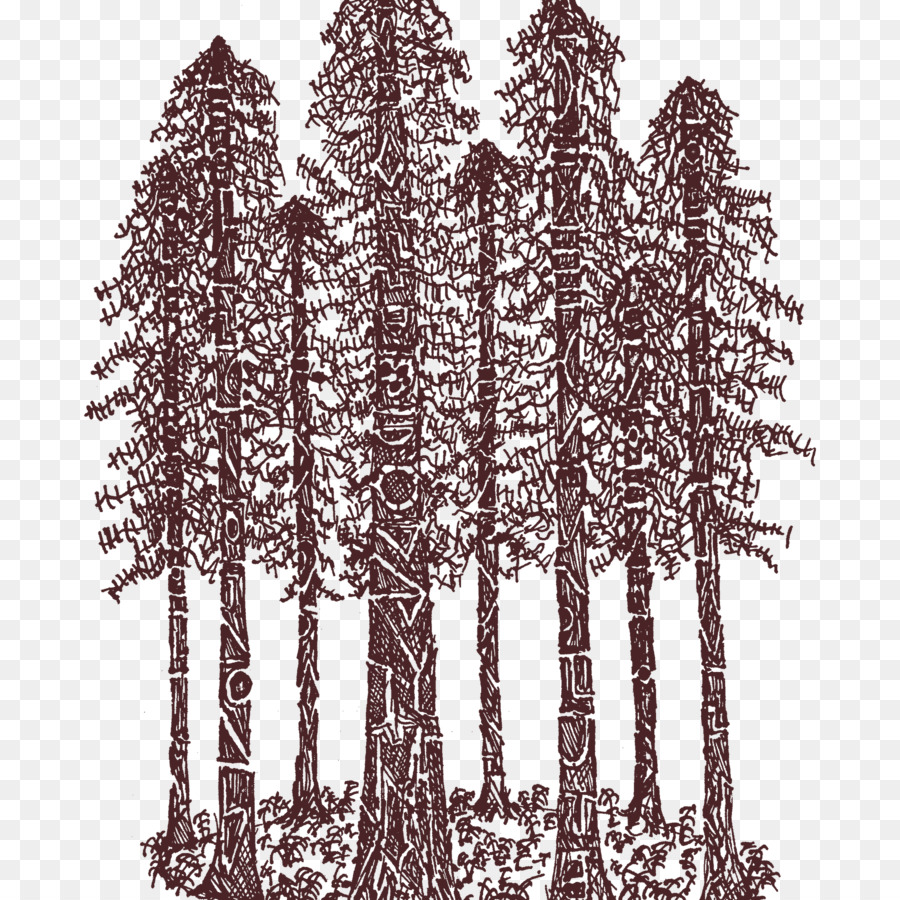 Redwood Nationales Et Des Parcs D État，Tshirt PNG