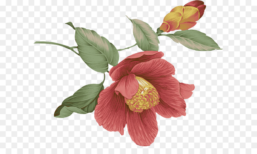 Fleurs，Bouquet PNG