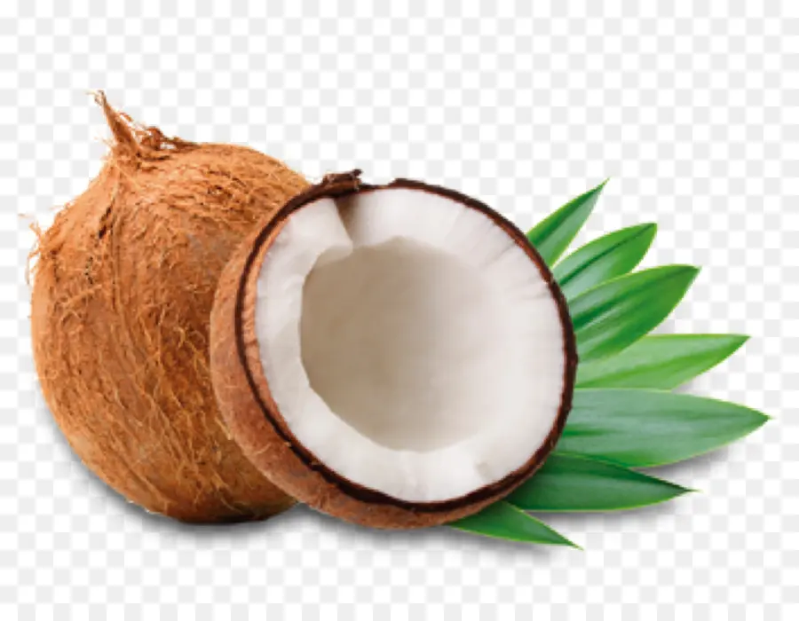 Noix De Coco，Fruit PNG