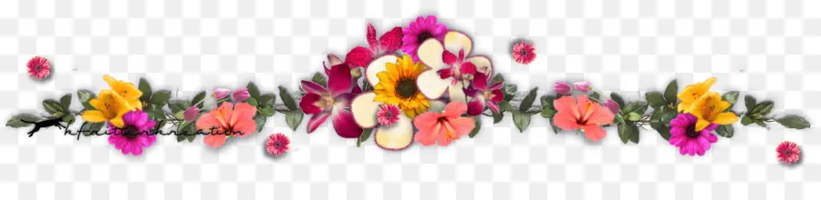 Fleurs，Coloré PNG