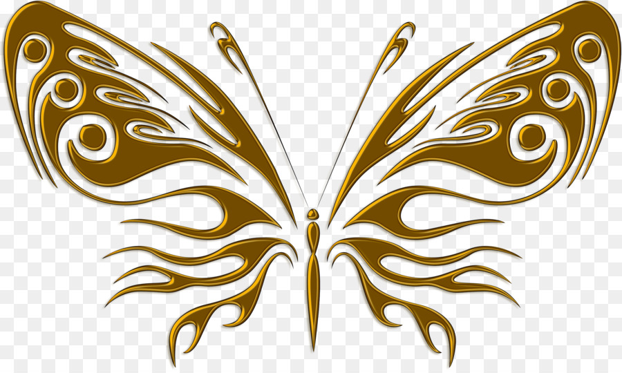 Papillon，Papillon De Nuit PNG