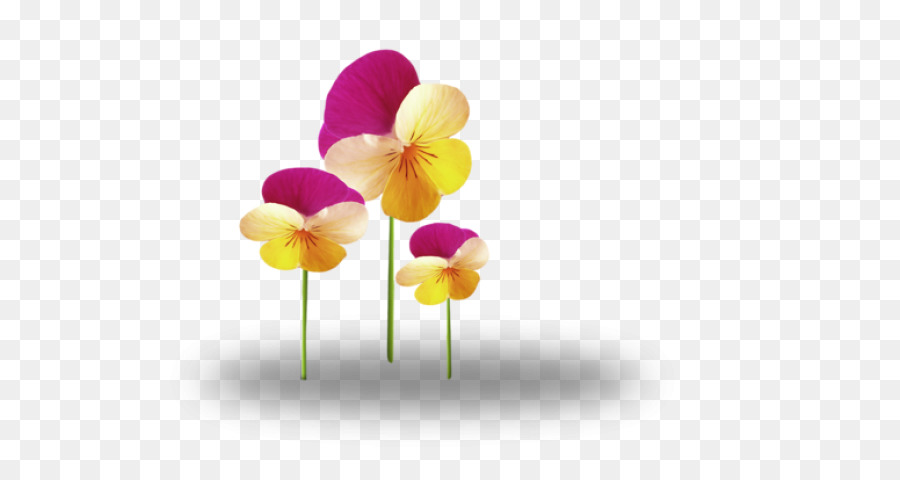 Fleur，Les Fleurs Coupées PNG