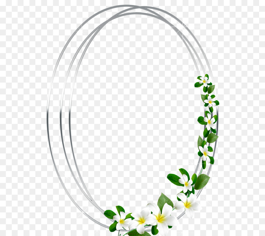 Cadre Floral，Ovale PNG