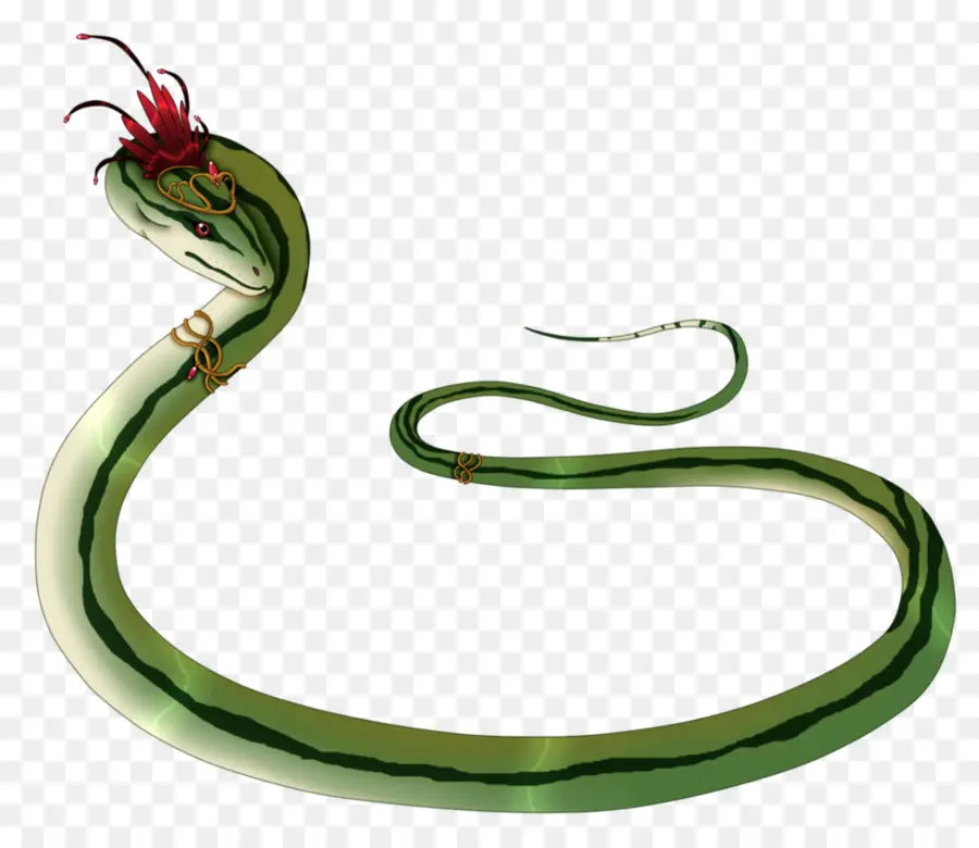 Serpent Vert，Serpent PNG