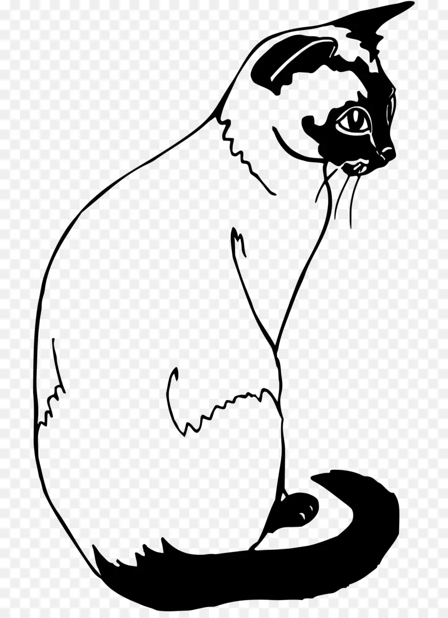 Chat，Animal De Compagnie PNG