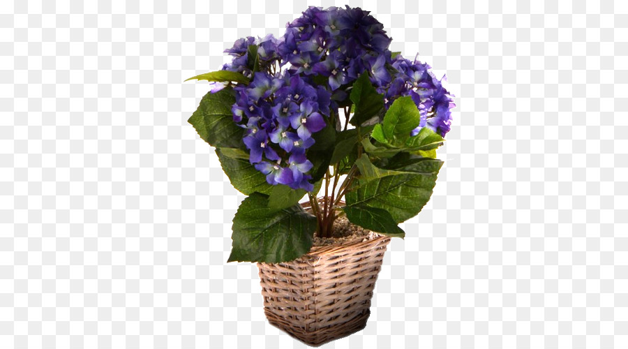 Fleurs Violettes，Panier PNG