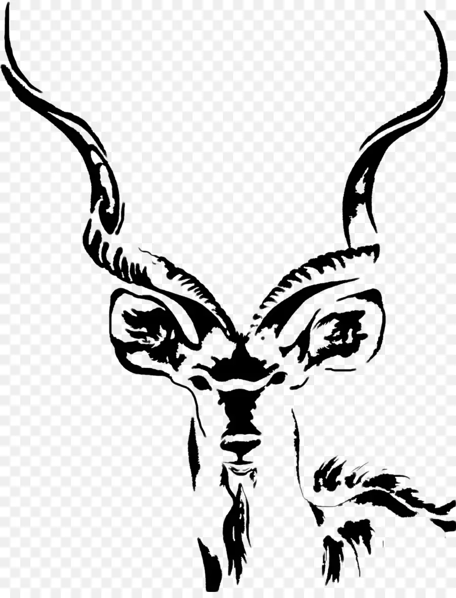 Illustration D'antilope，Cornes PNG