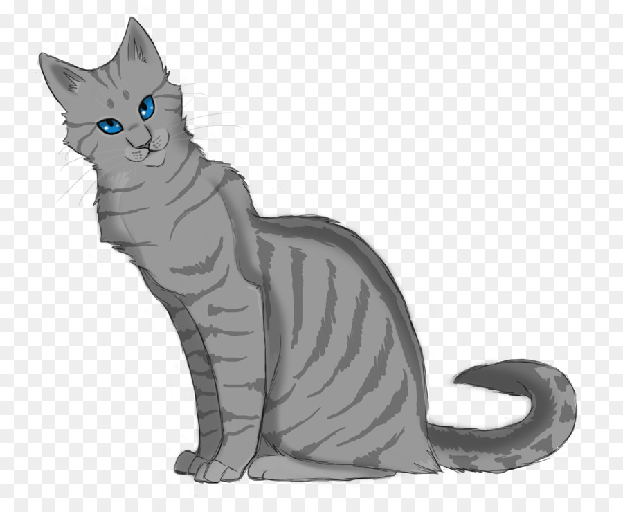 Chat，Animal De Compagnie PNG