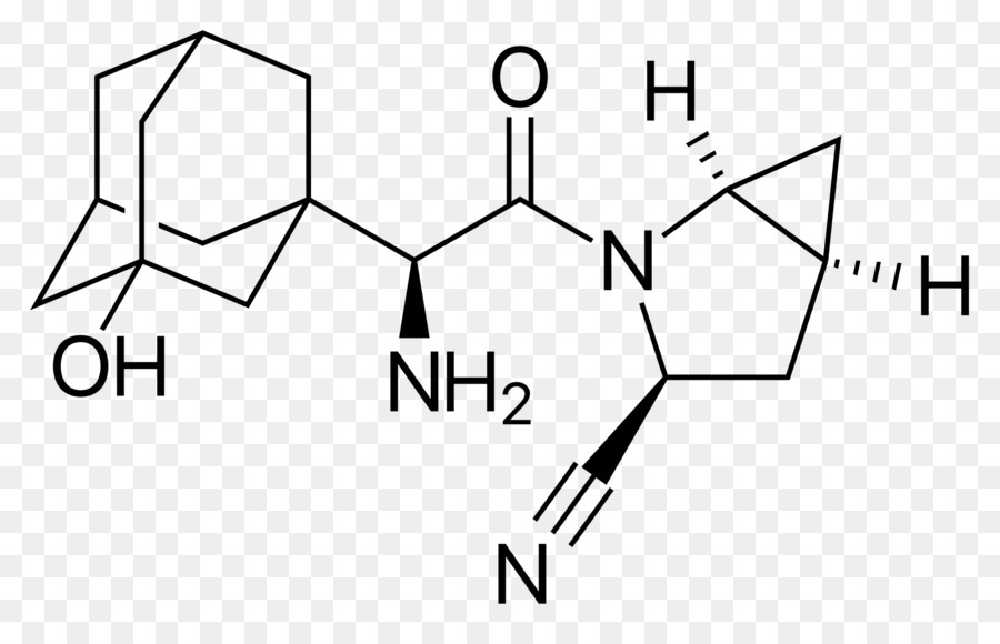 L Acide Aspartique，D Acides Aminés PNG