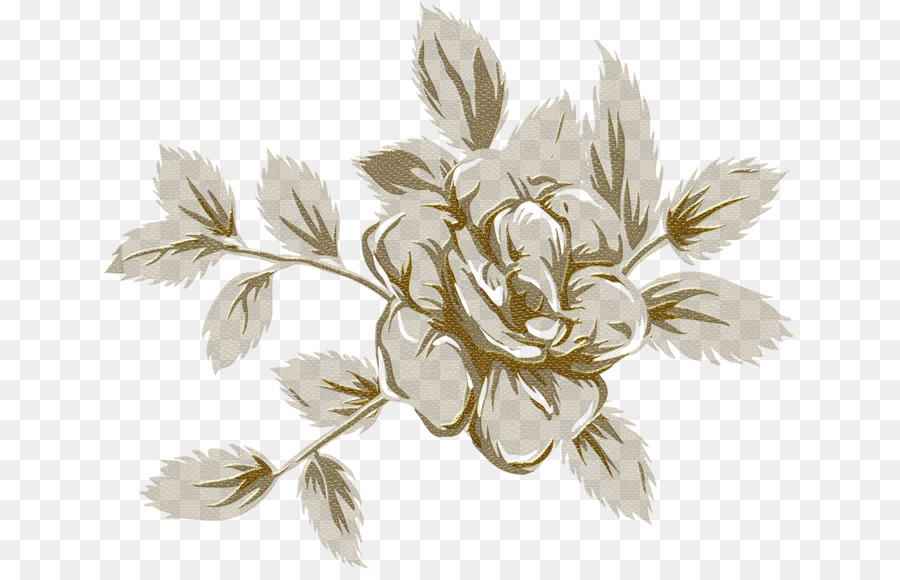 Fleur，L Image Numérique PNG