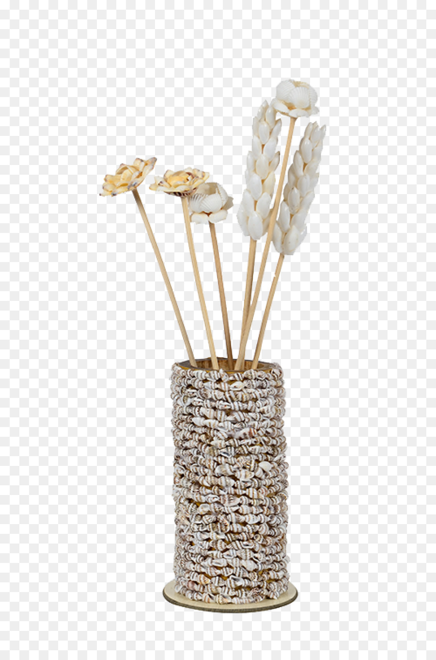 Table，Coquillage PNG