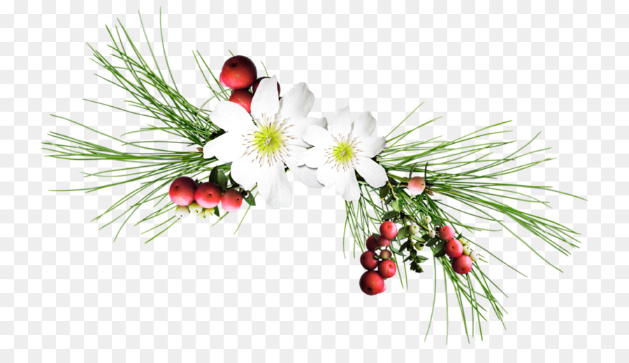 Fleurs Blanches Et Baies Rouges，Fleurs PNG