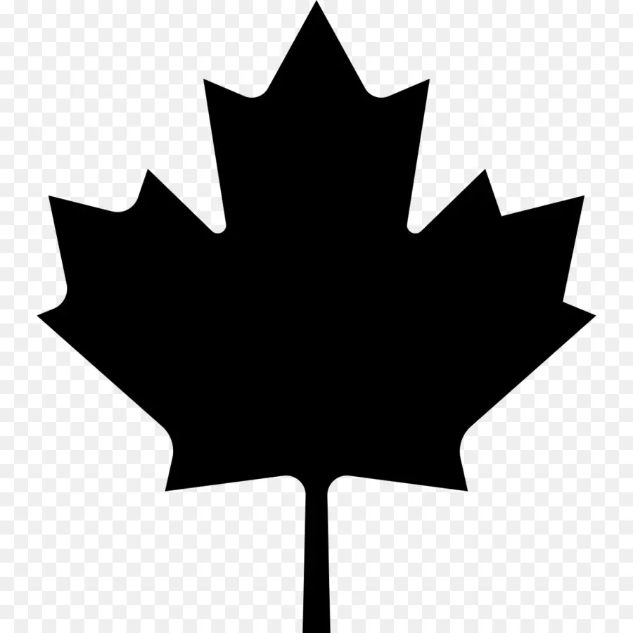 Canada，La Feuille D érable PNG