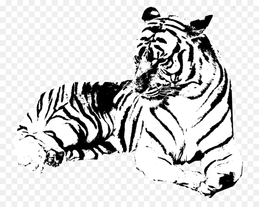 Tigre，Petit PNG