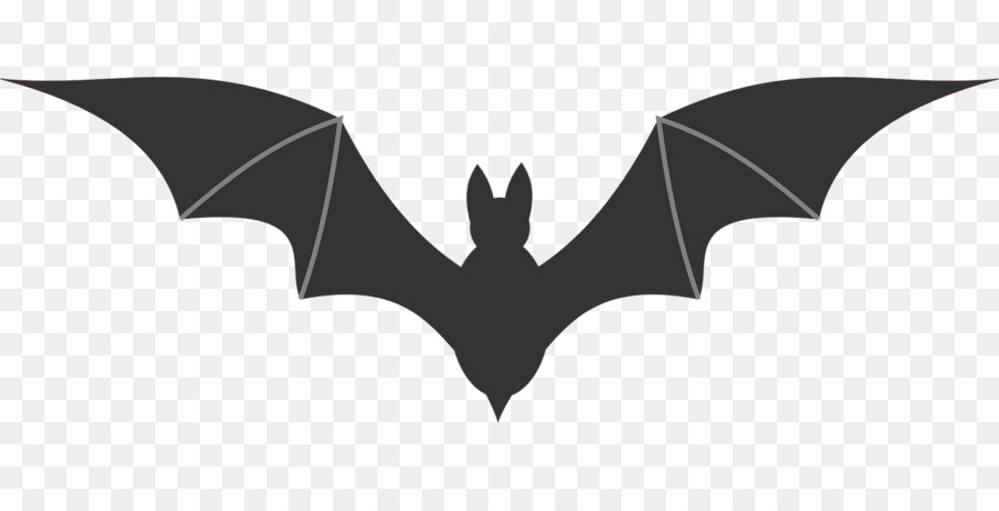 Chauve Souris Dessin Aile Png Chauve Souris Dessin Aile Transparentes Png Gratuit