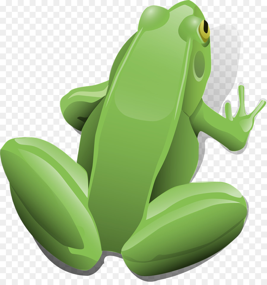 Grenouille Verte，Amphibie PNG