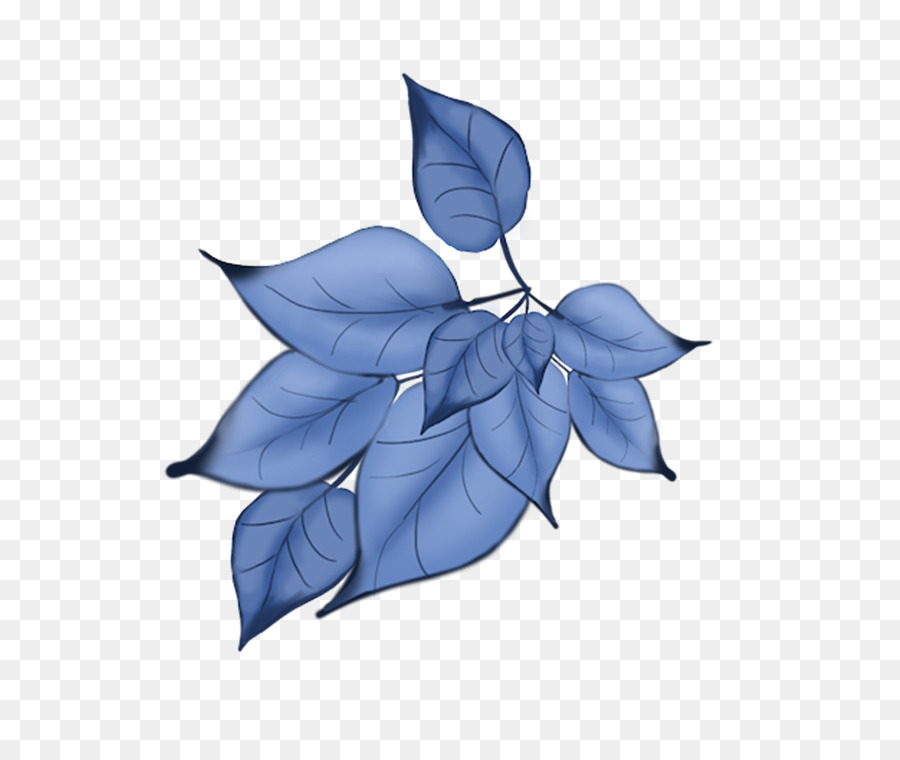 Feuilles Bleues，Feuillage PNG