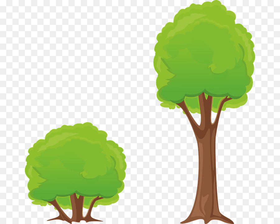 Arbuste，Arbre PNG