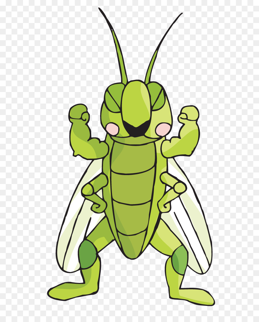 Insecte De Dessin Animé，Bogue PNG