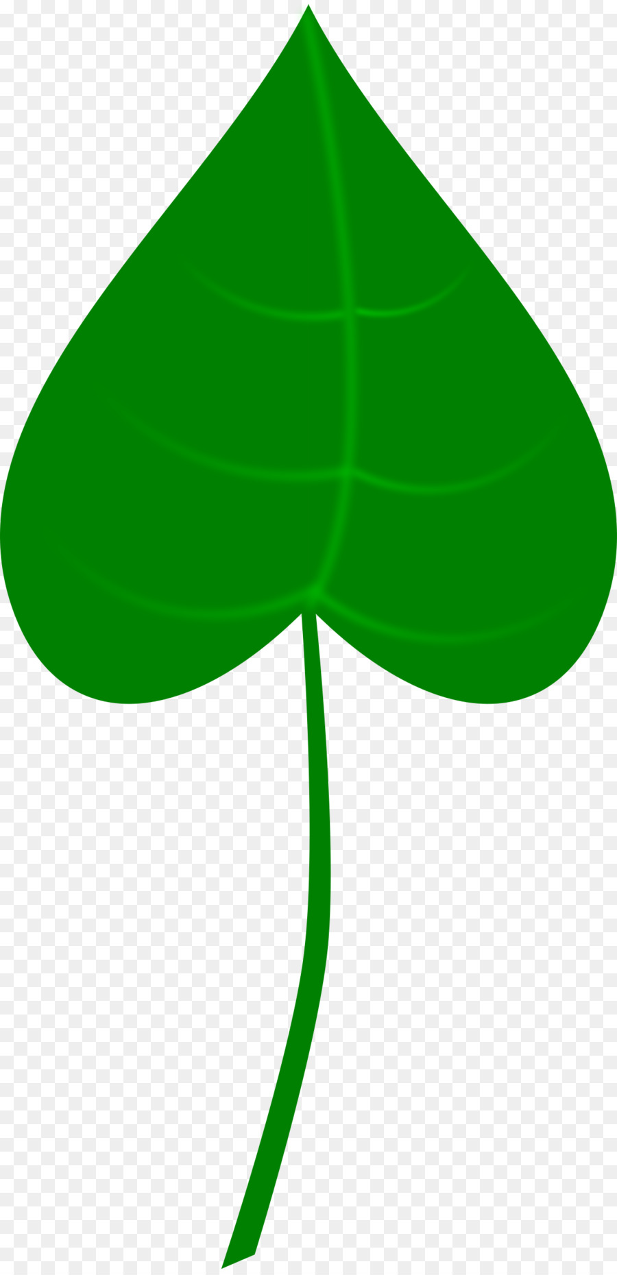 Feuille Verte，Usine PNG