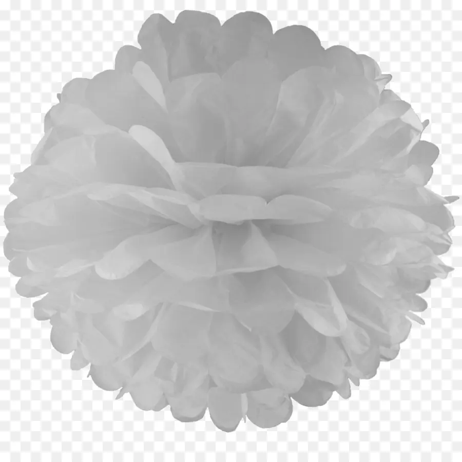 Pompon Blanc，Duveteux PNG