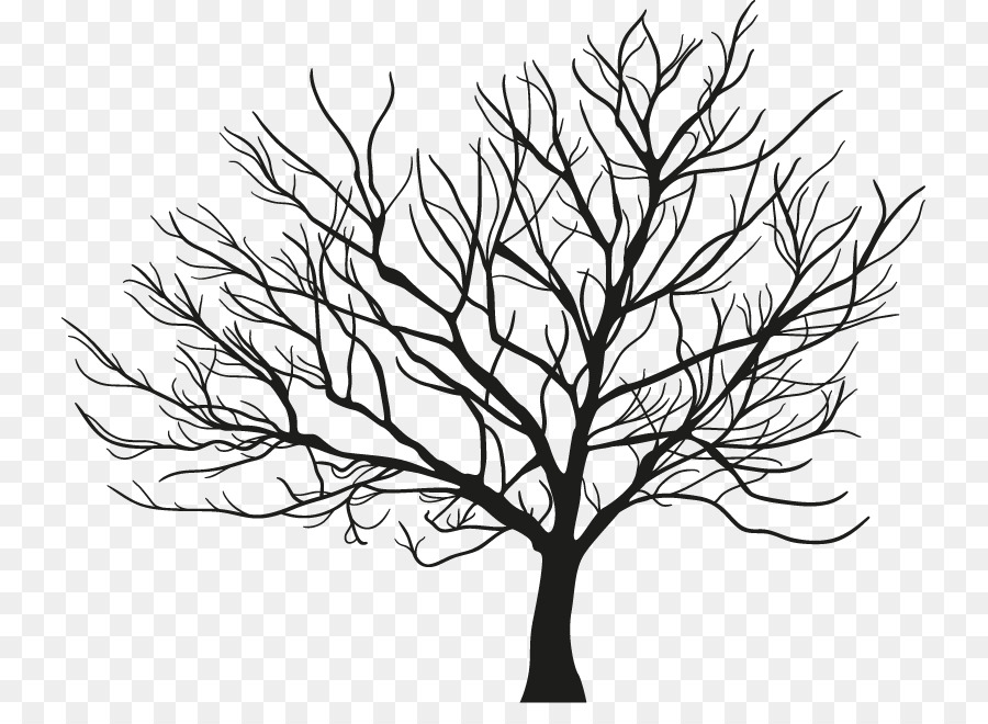 Arbre，Branche PNG