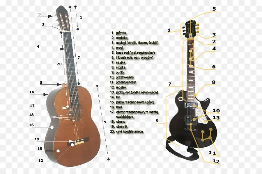 Diagramme De Guitare，Guitare PNG