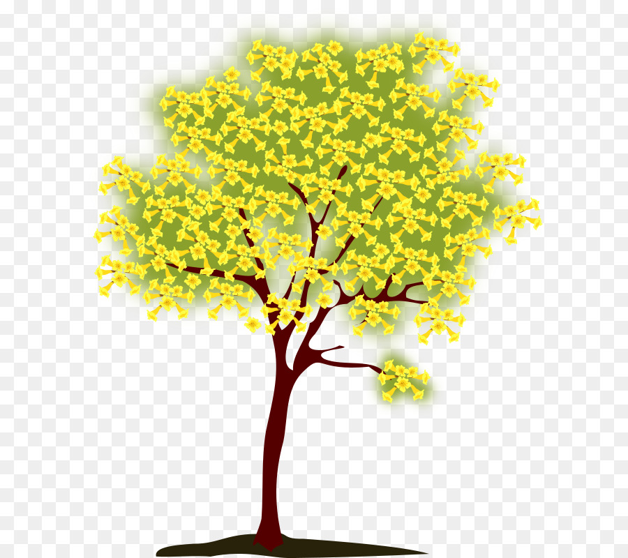 Arbre，Automne PNG