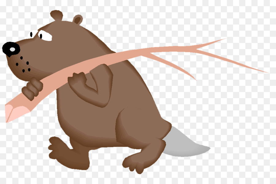 Castor，Rat PNG