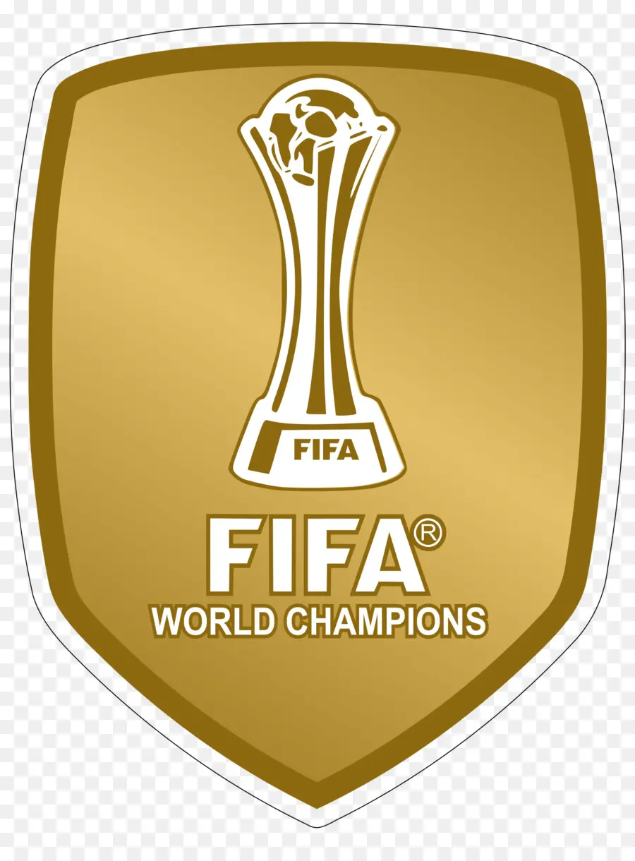 Champions Du Monde De La Fifa 2014，Football PNG