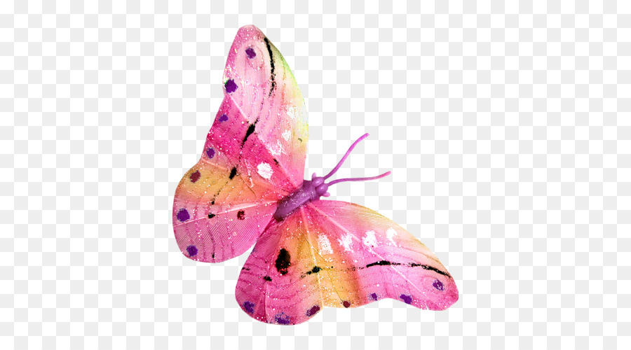 Papillon，Ailes PNG