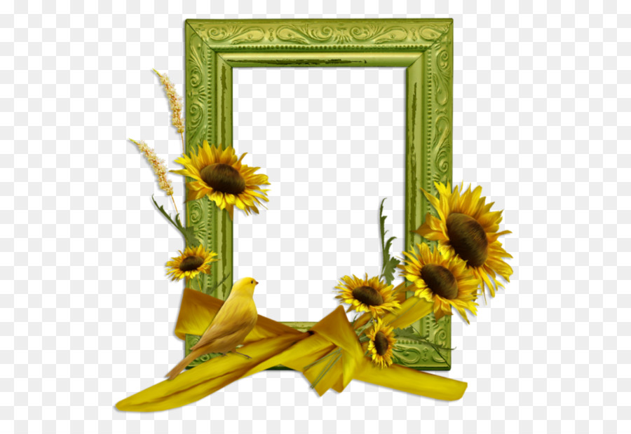 Cadre Photo，Tournesols PNG