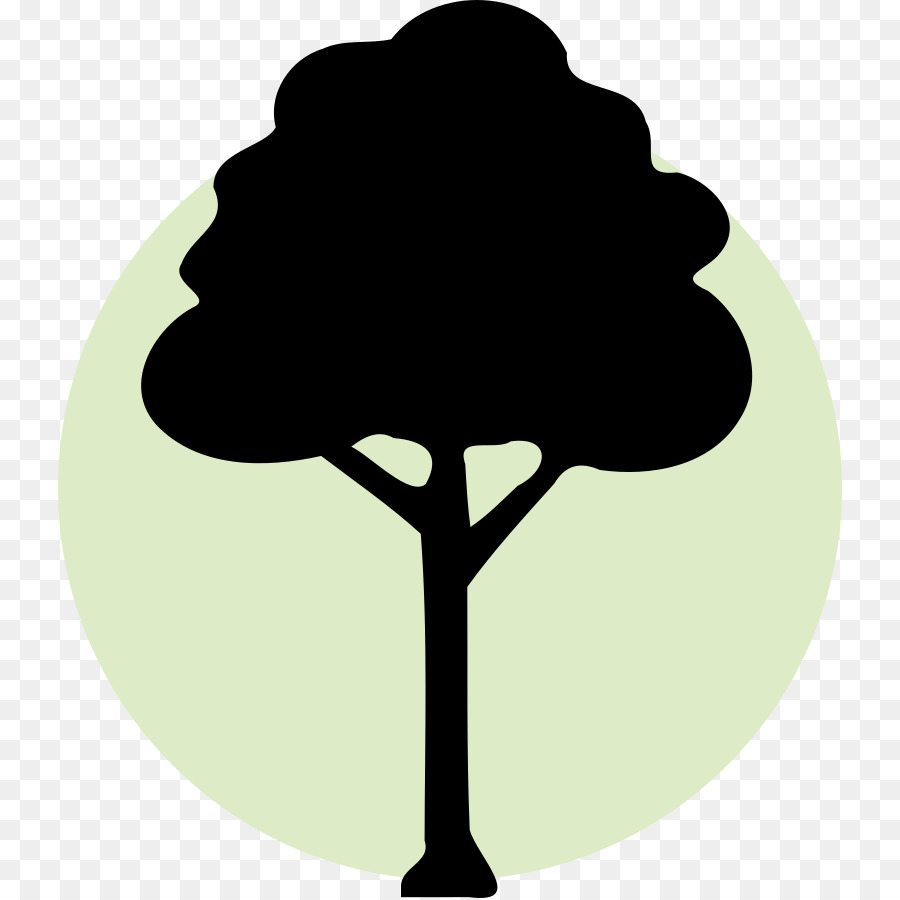 Arbre，Usine PNG