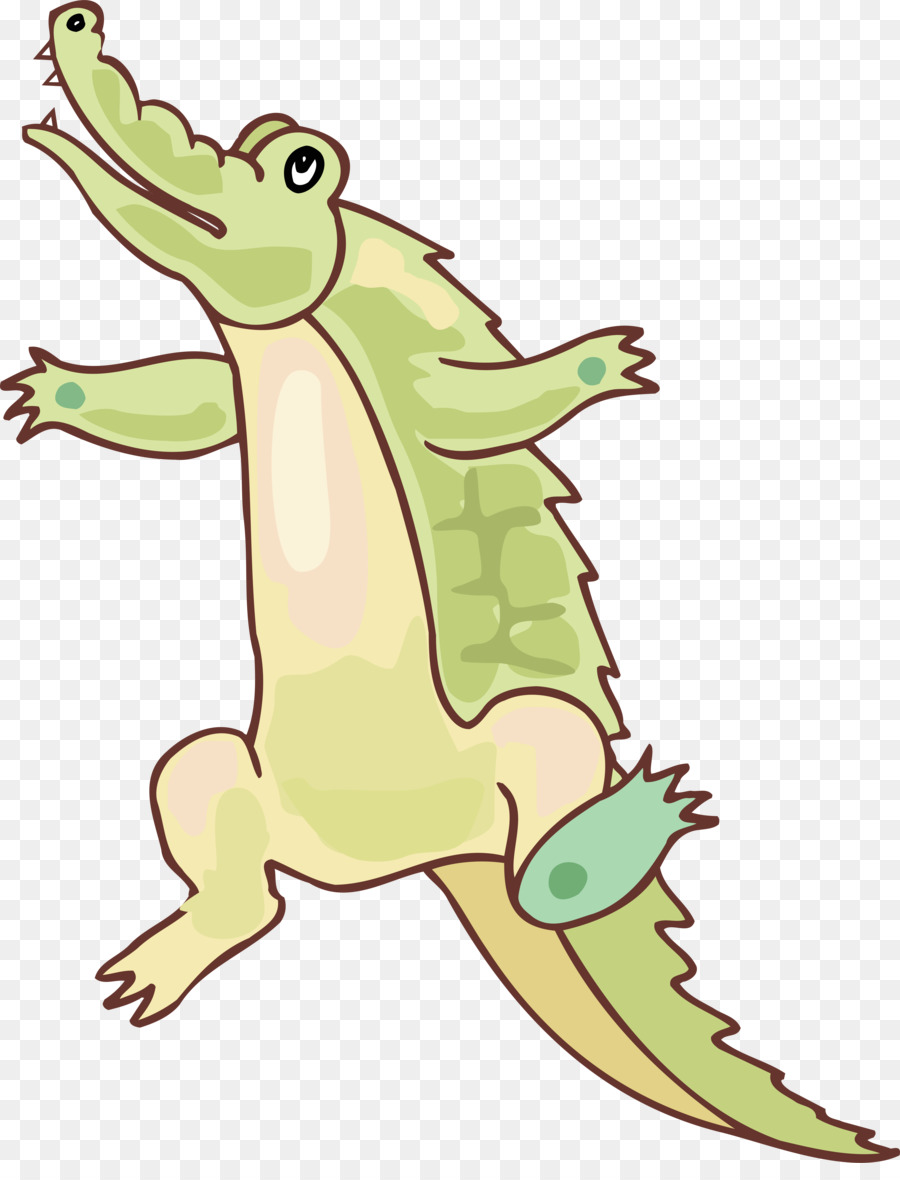 Crocodile De Dessin Animé，Vert PNG