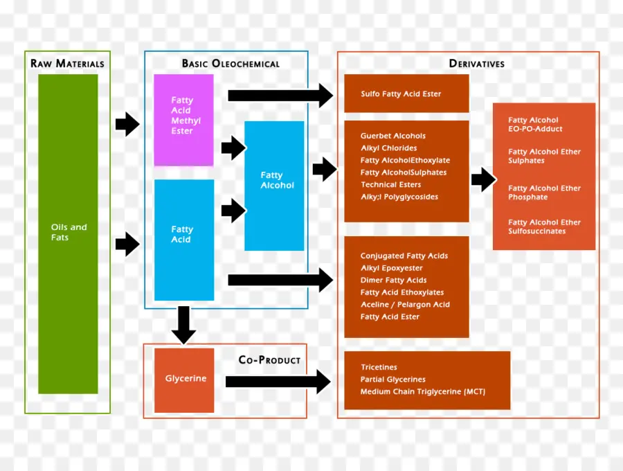 Organigramme，Processus PNG