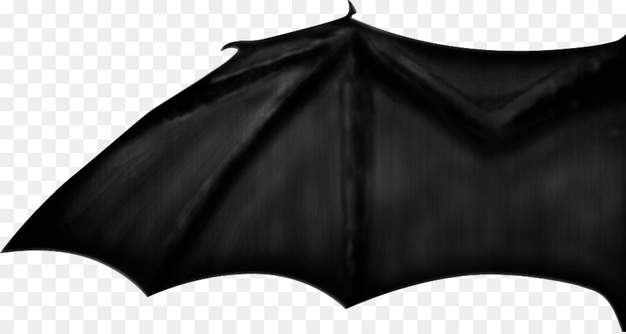 Chauve Souris Bat Le Developpement De Laile Aile Png Chauve Souris Bat Le Developpement De Laile Aile Transparentes Png Gratuit