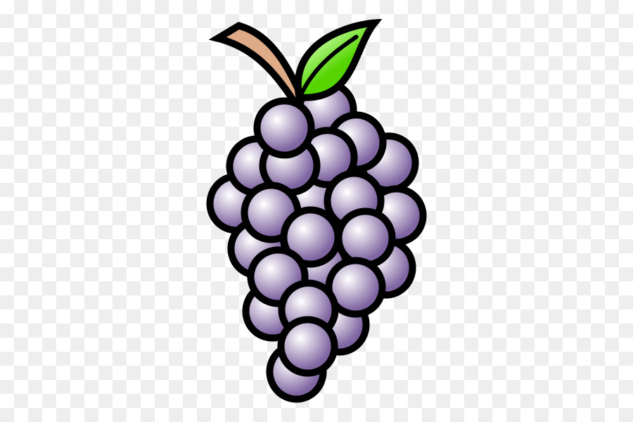 Raisin Les Vignes Dessin Png Raisin Les Vignes Dessin Transparentes Png Gratuit