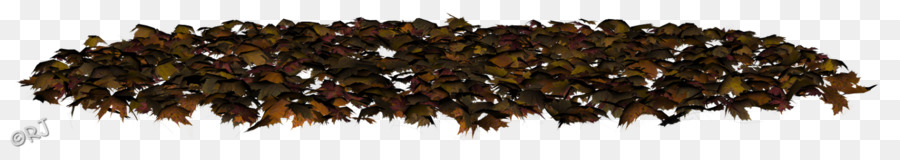 Tas De Feuilles，Feuilles PNG