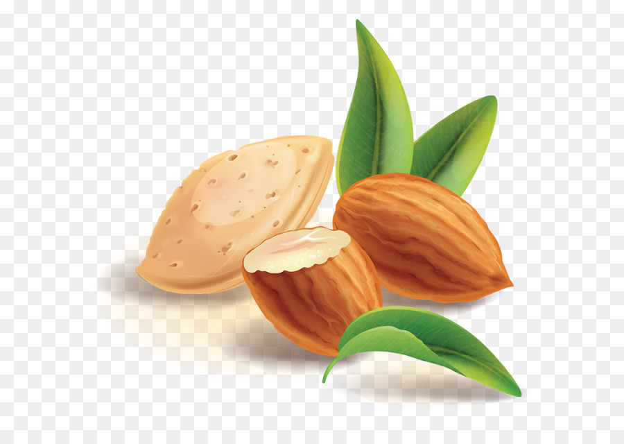 Amandes，Noix PNG