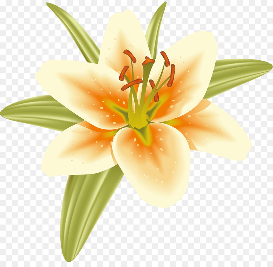 Les Fleurs Coupées，La Pédagogie PNG