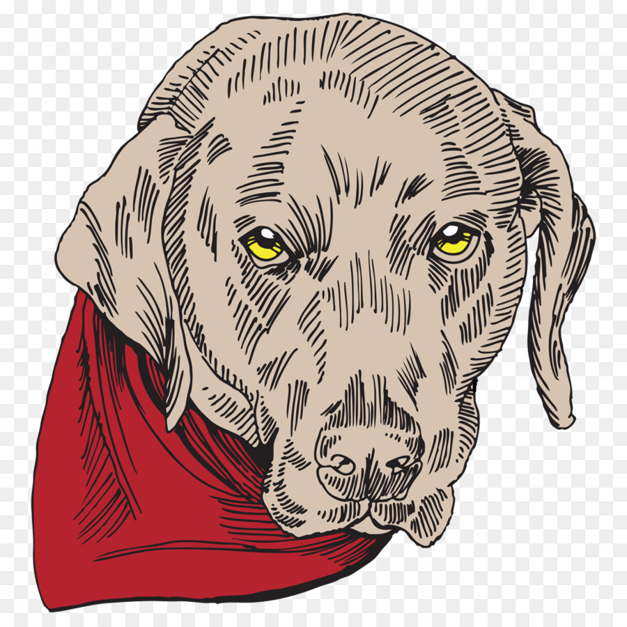 Illustration De Chien，Animal De Compagnie PNG