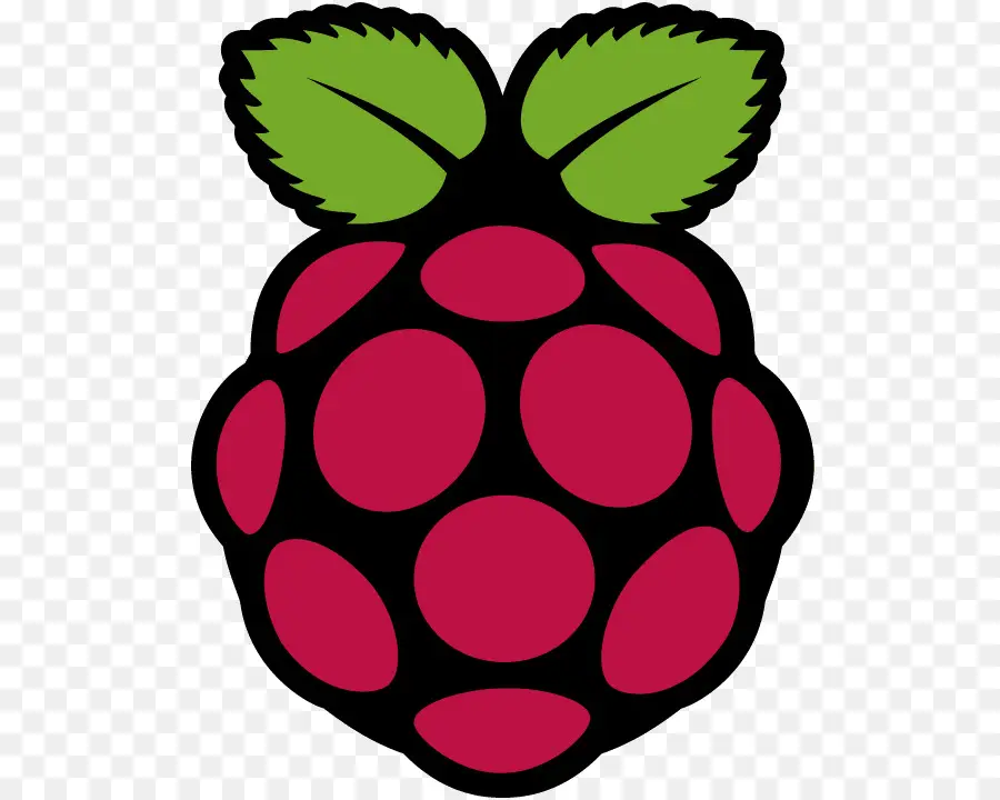 Logo Framboise，Fruit PNG