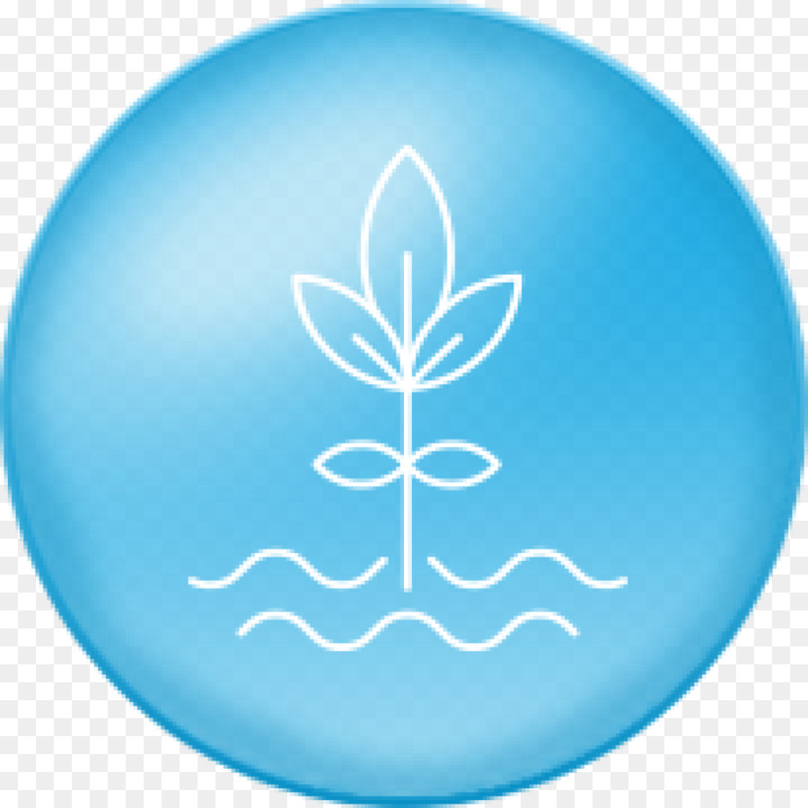 L Eau，Turquoise PNG