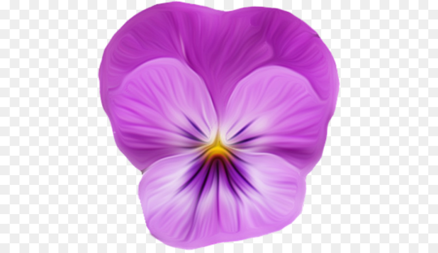 Fleur Violette，Fleurir PNG