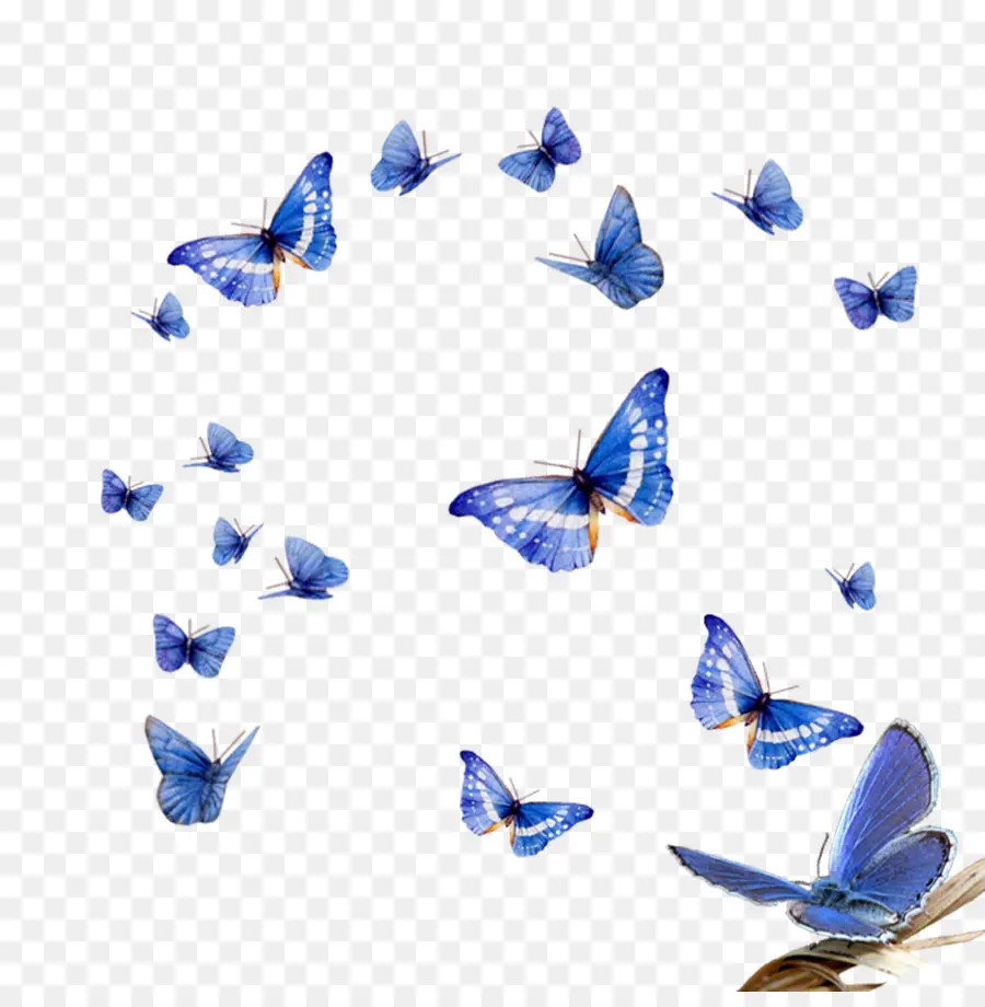 Papillons Bleus，Vol PNG