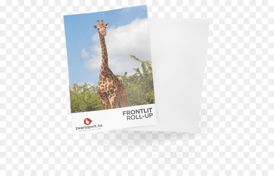 Girafe，Marque PNG