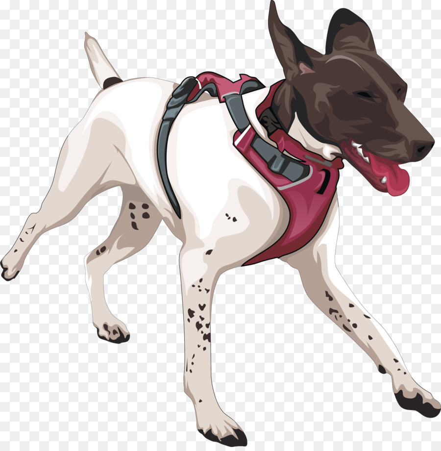 Race De Chien，Teckel PNG