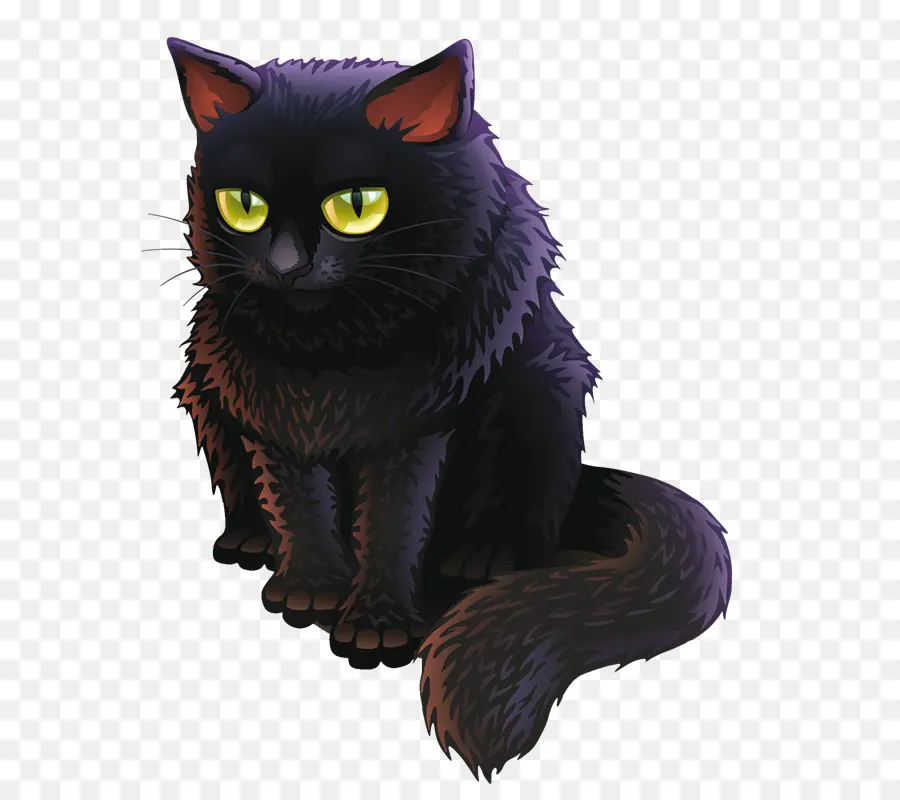 Chat Noir，Animal De Compagnie PNG