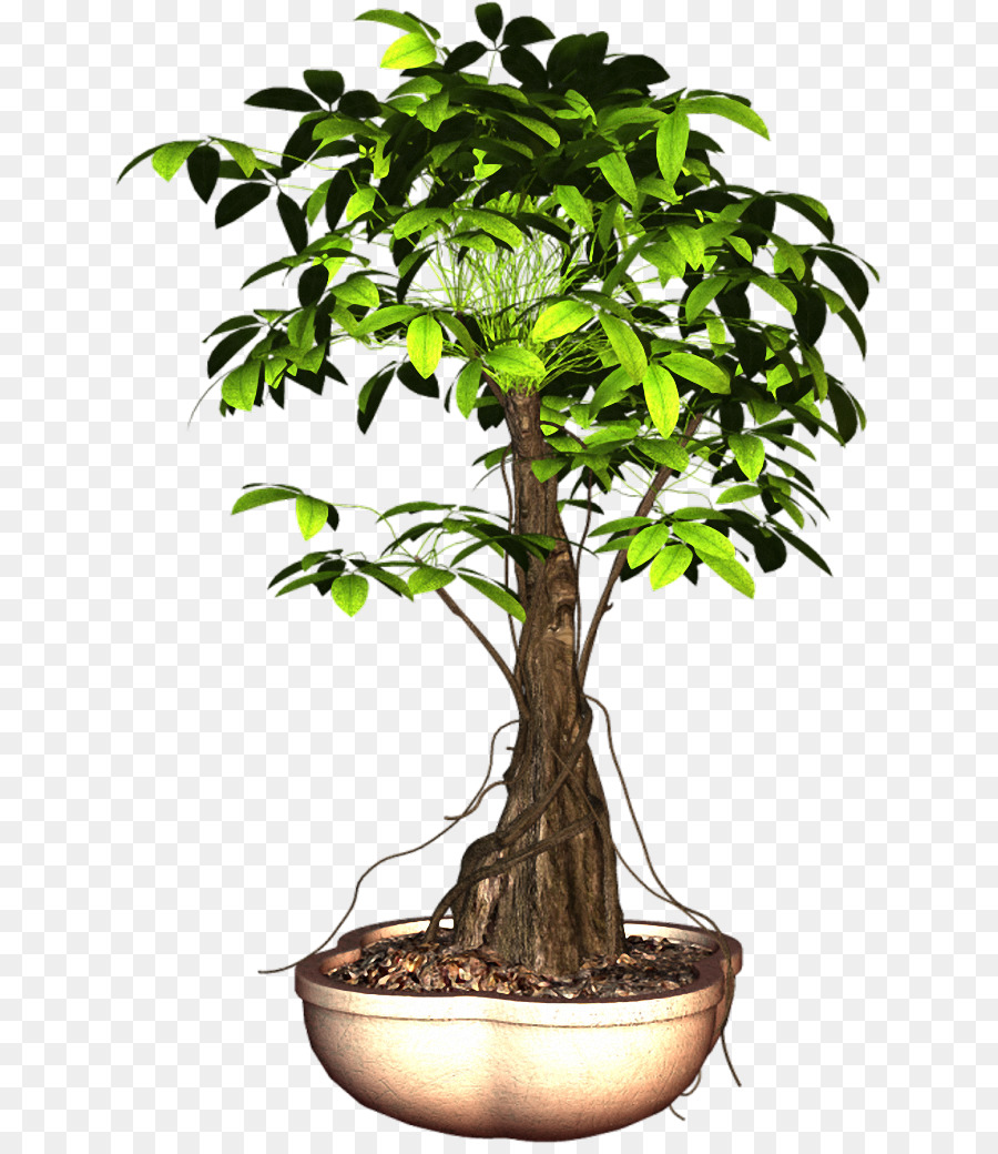 Usine，Arbre PNG