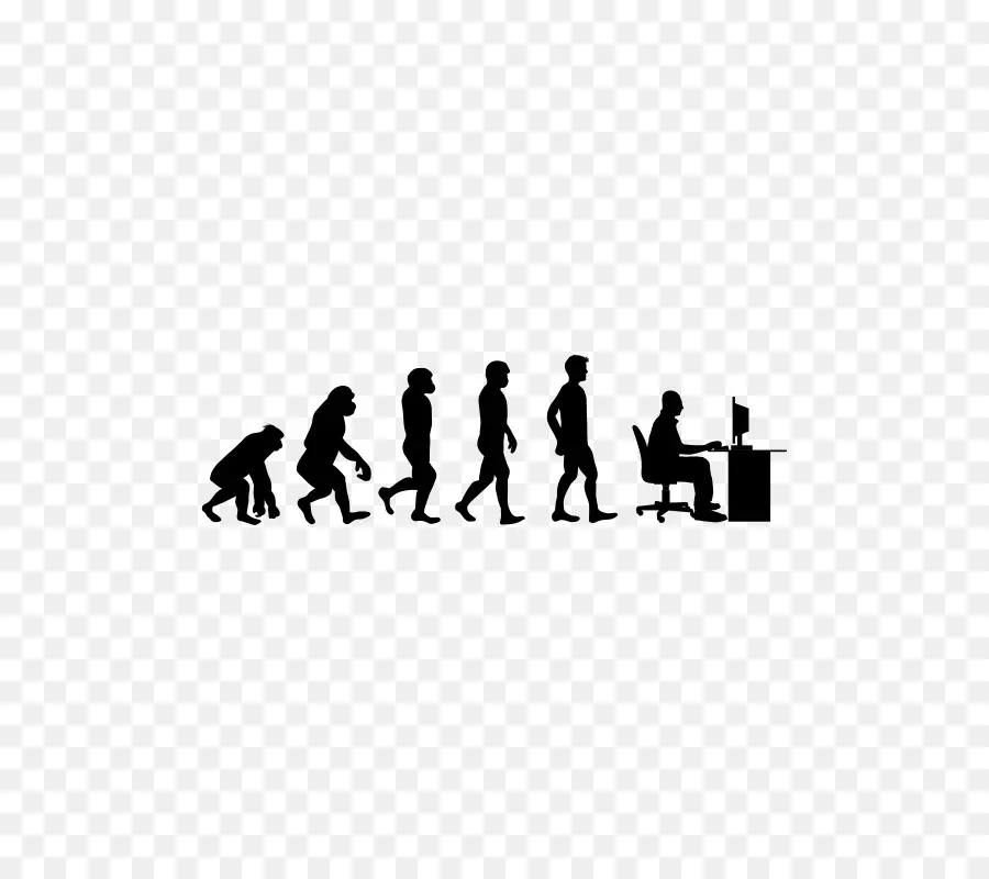 Silhouette D'évolution，Humain PNG